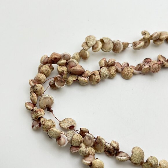 Natural Shell Long Beaded Necklace Sea Snail Beach Island Tiki Mermaid Costume - Picture 7 of 8